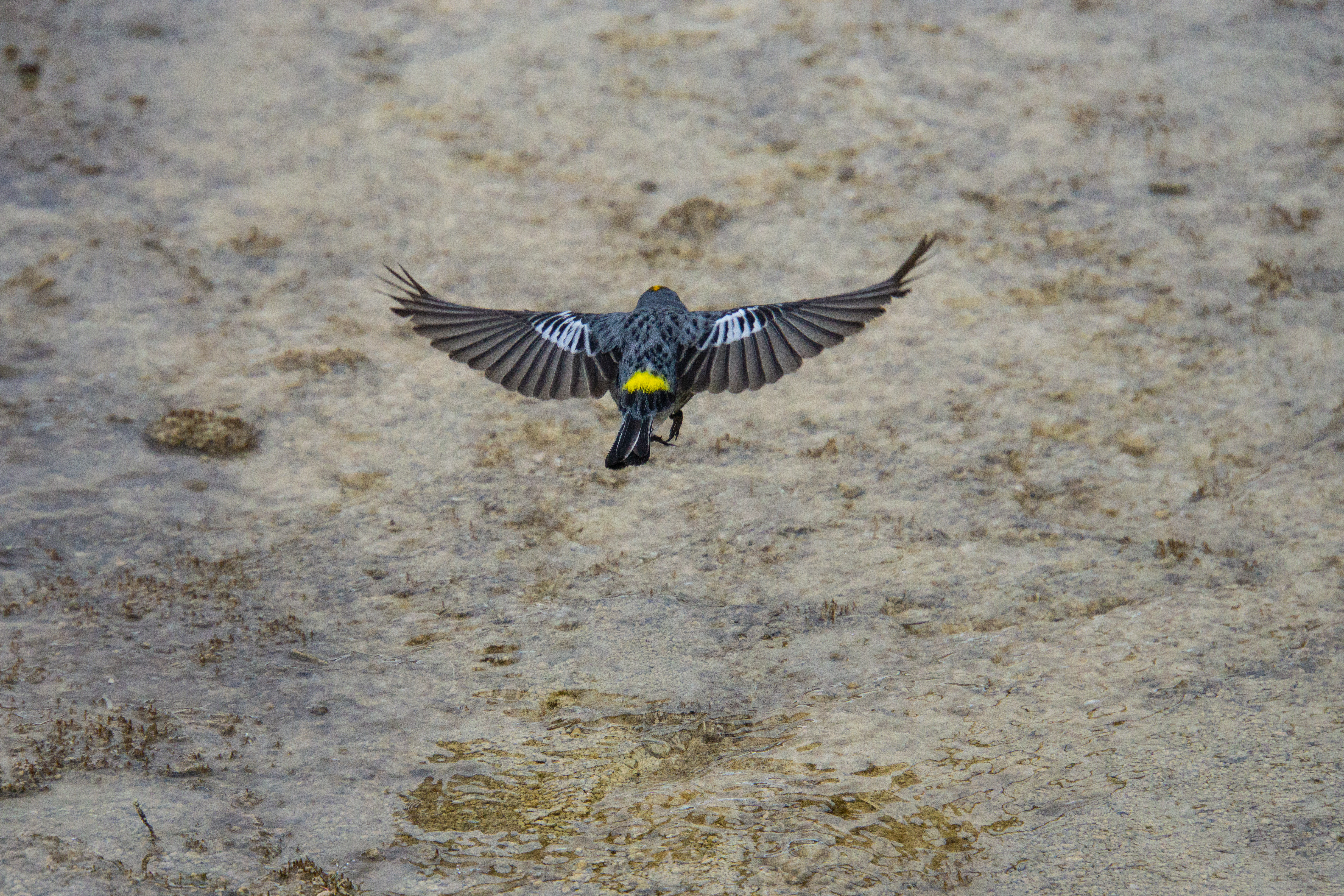 US National Parks 2022 46